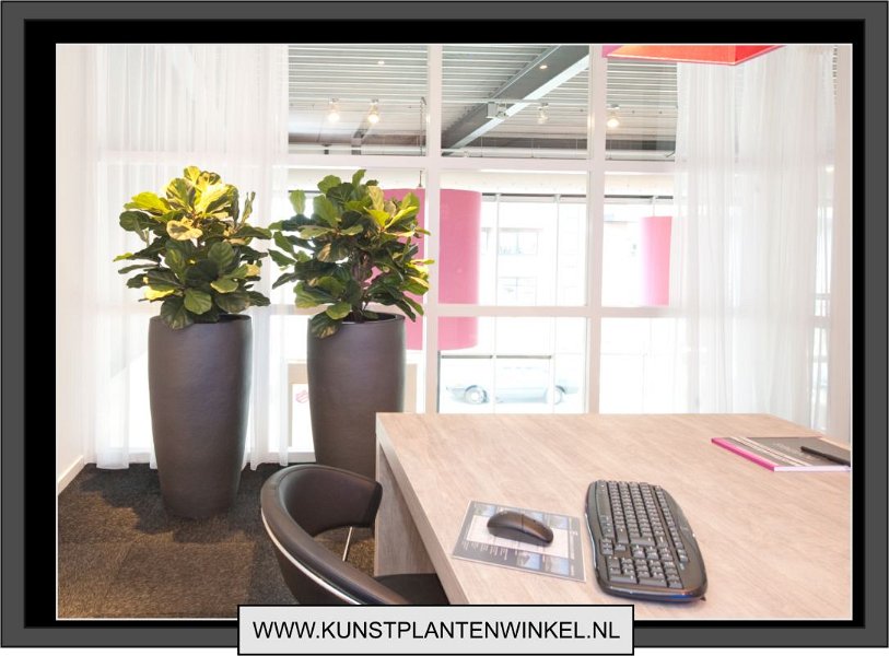 partner extra met lyratha bollen